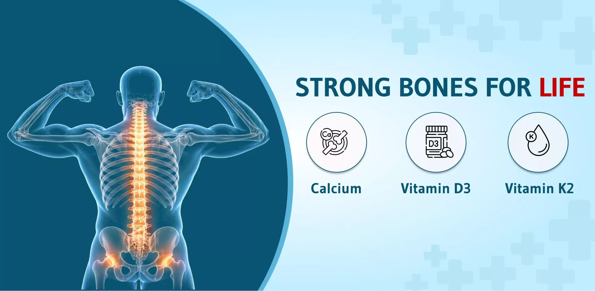 Strong Bones for Life: The Role of Calcium, Vitamin D3 and Vitamin K2 Bone health is one of the most important pillars of long-term wellbeing, yet it is often ignored until a problem appears. Many people only begin thinking seriously about their bones after they experience joint discomfort, reduced mobility, a fracture, or a diagnosis related to low bone density. In reality, strong bones are built and maintained over a lifetime. Bone health is not only about avoiding fractures in old age. It is also about staying active, independent, and physically confident throughout adulthood and later life. Bones are living tissues that are constantly changing. They are not hard, lifeless structures that stay the same forever. Throughout life, the body continuously breaks down old bone tissue and replaces it with new bone. This process helps maintain strength and structure. In younger years, bone formation tends to happen faster than bone breakdown, which is why bone mass increases as the body grows. However, as people age, this balance begins to shift. Bone breakdown can gradually outpace bone formation, leading to weaker and more fragile bones over time. This silent reduction in bone strength can continue for years without any obvious symptoms. A person may feel healthy and active while bone density is slowly declining in the background. That is why conditions such as osteoporosis are often called silent diseases. The first sign may come only after a minor fall causes a fracture or when back pain, posture changes, or loss of height begin to appear. By that stage, bone weakness may already be significant. This is why prevention and early support are so important. Among the nutrients most closely linked with strong bones are calcium, vitamin D3, and vitamin K2. These three are widely recognized for their complementary roles in bone support. Calcium is the mineral that gives bones much of their structure and strength. Vitamin D3 helps the body absorb calcium more effectively. Vitamin K2 helps direct calcium into bones, where it can be used properly. Together, they form a smarter and more complete approach to bone support than calcium alone. A growing number of adults and elderly individuals are at risk of poor bone health because of modern lifestyle factors. Low physical activity, poor diet, limited sunlight exposure, aging, hormonal changes, and chronic health conditions can all affect bone strength. As life expectancy increases around the world, osteoporosis and bone-related weakness are becoming more important public health concerns. The encouraging part is that good nutritional support and healthy habits can play a major role in protecting bones at every stage of life. Understanding Bone Health Across Life Bone development begins early in life and continues actively through childhood, adolescence, and young adulthood. During these years, the body builds bone mass rapidly. Peak bone mass is usually reached in early adulthood. This peak is important because it creates the foundation for bone strength later in life. The stronger the bones are at their peak, the more reserve the body may have as age-related loss begins. After early adulthood, the focus shifts from building bone to maintaining it. Bone remodeling still continues, but the balance may slowly become less favorable. In middle age and older age, various factors can speed up bone loss. These include low calcium intake, lack of vitamin D, reduced exercise, smoking, excessive alcohol intake, poor overall nutrition, certain medications, and hormonal changes such as menopause. Bone health is not equally affected in all people. Some groups are at greater risk. Women after menopause are more likely to experience rapid bone loss because estrogen levels decline, and estrogen plays an important role in protecting bone mass. Elderly individuals are also vulnerable because aging affects nutrient absorption, appetite, activity levels, and the body’s ability to produce vitamin D from sunlight. Men are not exempt either. Although osteoporosis is often discussed more in relation to women, many older men also face significant risk of low bone density and fractures. Osteoporosis Risk and Why It Matters Osteoporosis is a condition in which bones become thinner, weaker, and more likely to fracture. It is one of the most important bone health concerns in older adults. Fragile bones can break more easily, even with relatively minor falls or impacts. Common fracture sites include the spine, hip, and wrist. These fractures are not minor problems, especially in elderly individuals. They can affect mobility, independence, and quality of life for months or even years. The risk of osteoporosis increases with age, but age is not the only factor. Family history, low body weight, poor nutrition, smoking, inactivity, long-term use of certain medications, and certain chronic illnesses can also increase the likelihood of bone loss. In women, postmenopausal bone loss is especially important because hormonal changes can accelerate the breakdown of bone tissue. The real concern with osteoporosis is not just the diagnosis itself, but what it can lead to. A broken hip in an elderly person can lead to reduced independence, prolonged hospitalization, and difficulty returning to normal daily activities. Spinal fractures may cause chronic pain, posture changes, and reduced height. Even wrist fractures can reduce confidence and function. Strong bones support more than the skeleton. They support freedom of movement, healthy aging, and self-reliance. The Role of Calcium in Bone Strength Calcium is the most widely known mineral associated with bone health. It is one of the main building blocks of bones and teeth. Most of the body’s calcium is stored in the skeleton, where it helps provide hardness and structural strength. Without enough calcium, the body cannot maintain normal bone health properly. The body also needs calcium for other vital functions, including muscle contraction, nerve signaling, and heart rhythm. If dietary calcium intake is too low, the body may start taking calcium from the bones to support these essential functions. Over time, this can weaken the bones and reduce bone density. Adequate calcium intake is therefore necessary throughout life. In children and teenagers, calcium supports bone growth and development. In adults, it helps maintain existing bone mass. In older people, it becomes especially important because natural bone loss has already begun. However, while calcium is essential, it does not act alone. This is where many people go wrong. Taking calcium without ensuring proper absorption and utilization may not be enough to support bone health effectively. Why Vitamin D3 Is So Important Vitamin D3 plays a critical role in helping the body absorb calcium from the digestive tract. Without sufficient vitamin D3, the body may struggle to absorb enough calcium, even if dietary intake appears adequate. This means the body may not be able to use calcium efficiently to support bones. Vitamin D3 also helps regulate calcium and phosphorus balance in the body, both of which are important for bone mineralization. Good vitamin D3 status supports bone density, muscle function, and overall skeletal health. Low vitamin D levels are associated with weak bones, poor mineralization, and a greater risk of falls and fractures, especially in older adults. One challenge with vitamin D3 is that deficiency is common. Many people spend long hours indoors, use sun protection regularly, or live in regions where sunlight exposure is limited for much of the year. Older adults are particularly vulnerable because aging skin produces less vitamin D from sunlight than younger skin. Reduced outdoor activity can make this even worse. This is why vitamin D3 has become such an important part of bone support discussions, especially for adults and elderly populations. The Often Overlooked Role of Vitamin K2 Vitamin K2 is less famous than calcium and vitamin D3, but it is an increasingly important nutrient in modern bone health conversations. Its key role is helping activate proteins that regulate where calcium goes in the body. In simple terms, vitamin K2 helps direct calcium toward the bones and teeth, where it can be properly used. This role matters because it is not enough for calcium to enter the body. It also needs to be guided effectively into bone tissue. Vitamin K2 supports this process as part of normal bone mineralization. This is why calcium, vitamin D3, and vitamin K2 are often discussed together. Their roles are different, but they work in a connected and complementary way. When combined thoughtfully, these nutrients support a more complete approach to bone health. Calcium provides the raw mineral material. Vitamin D3 improves calcium absorption. Vitamin K2 supports the proper use of that calcium in bone tissue. This combination is especially relevant for adults and elderly individuals who need practical, efficient nutritional support. Bone Health in Adults Many adults assume that bone health becomes important only after the age of sixty. That is a mistake. Bone support in adulthood is essential because this is the period when the body is working to preserve the bone mass built earlier in life. Small losses over time may not be noticeable, but they can add up over the decades. Adults with busy lifestyles may not always get enough calcium-rich foods or enough sunlight. Sedentary work routines, poor dietary habits, smoking, alcohol use, and irregular exercise can all weaken the body’s support systems for healthy bones. For women, the years leading up to menopause are a particularly important time to think ahead about bone care. For men, midlife is also a good stage to strengthen preventive habits before age-related bone loss becomes more significant. Bone health in adults should focus on consistency. This means choosing a balanced diet, maintaining physical activity, ensuring good vitamin D status, and paying attention to calcium and vitamin K2 intake. Support started during adulthood can make a significant difference later in life. Bone Health in the Elderly Bone health becomes even more important in older age because several risk factors often come together. Appetite may decrease, digestion may become less efficient, muscle mass may decline, and mobility may be reduced. Sunlight exposure often falls as elderly people spend more time indoors. At the same time, the body becomes less efficient at making vitamin D from sunlight and less resilient when recovering from bone injuries. This means elderly people need not only awareness, but also practical support. Bone-related fractures in older adults can have serious consequences. They may lead to long recovery periods, loss of independence, or increased dependence on family or caregivers. Maintaining bone strength in later life is therefore one of the most important parts of healthy aging. Nutritional support for the elderly should be simple, reliable, and easy to follow consistently. Calcium, vitamin D3, and vitamin K2 can be especially relevant during this stage because the body needs both adequate intake and effective utilization. Combined with safe physical activity and fall prevention strategies, this nutritional support can help protect mobility and confidence. Lifestyle Habits That Support Strong Bones Nutrition is essential, but it is not the only factor in bone health. Lifestyle habits also matter greatly. Weight-bearing exercise is one of the best ways to support healthy bones. Activities such as walking, climbing stairs, resistance training, and light strength exercises help stimulate the bones and encourage maintenance of bone mass. Bones respond to movement and load. When the body remains inactive for long periods, bones receive fewer signals to stay strong. Muscle health is also connected to bone health. Strong muscles improve posture, movement, and balance. Better balance reduces the risk of falls, which is especially important in elderly individuals. This means bone care should be seen as part of a bigger picture that includes movement, balance, and overall physical resilience. A balanced diet also contributes beyond calcium alone. Protein, magnesium, phosphorus, and trace minerals all support the body’s ability to maintain healthy bones. Protein is especially important because bone contains a protein framework as well as minerals. Poor nutrition, low food intake, and highly restrictive diets may all reduce the body’s ability to maintain strong bones over time. Smoking and excessive alcohol use should also be avoided because both are associated with poorer bone health. These habits can interfere with the body’s natural maintenance processes and increase fracture risk over time. Why Combination Support Makes Sense For many years, bone support conversations focused heavily on calcium alone. Today, there is greater awareness that calcium works best when supported by other nutrients. This is where the combination of calcium, vitamin D3, and vitamin K2 becomes especially valuable. A person may consume calcium regularly, but if vitamin D3 is too low, absorption may be limited. Even with good calcium absorption, proper bone mineralization still depends on the body’s ability to use calcium efficiently. Vitamin K2 contributes to this process by supporting the activation of bone-related proteins. Together, this combination offers more complete nutritional support for people who want to protect bone strength proactively. This is especially relevant in adults who are beginning to think about long-term bone care and in elderly individuals who need more structured support to maintain strength and mobility. Rather than focusing on one nutrient in isolation, a broader strategy often makes more practical sense. Strong Bones for Healthy Aging Strong bones are not only about preventing disease. They are about maintaining the ability to walk confidently, remain active, and enjoy daily life with fewer limitations. Healthy bones support posture, movement, independence, and quality of life. When bone health is neglected, the consequences can affect many aspects of life beyond the skeleton. The concept of healthy aging includes bone health as a central theme. A person who protects bone strength is also investing in future mobility, balance, and resilience. This is why bone support should begin early, continue through adulthood, and remain a priority in later life. Conclusion Bone health is a lifelong priority, not something to think about only after a fracture or diagnosis. As people age, the balance between bone formation and bone loss shifts, increasing the risk of osteoporosis and fragile bones. Adults and elderly individuals are especially vulnerable when poor diet, low sunlight exposure, inactivity, or hormonal changes are involved. Calcium remains essential because it provides the structural mineral foundation for bones. Vitamin D3 is critical because it helps the body absorb calcium effectively. Vitamin K2 adds another important layer of support by helping direct calcium into bone tissue where it is needed. Together, calcium, vitamin D3, and vitamin K2 offer a more complete and practical nutritional approach to bone health. By combining the right nutrients with regular movement, balanced meals, and healthy habits, people can do much more to protect their bones over time. Strong bones support stronger lives, better mobility, and healthier aging. That is why bone care deserves attention not only in old age, but throughout life.