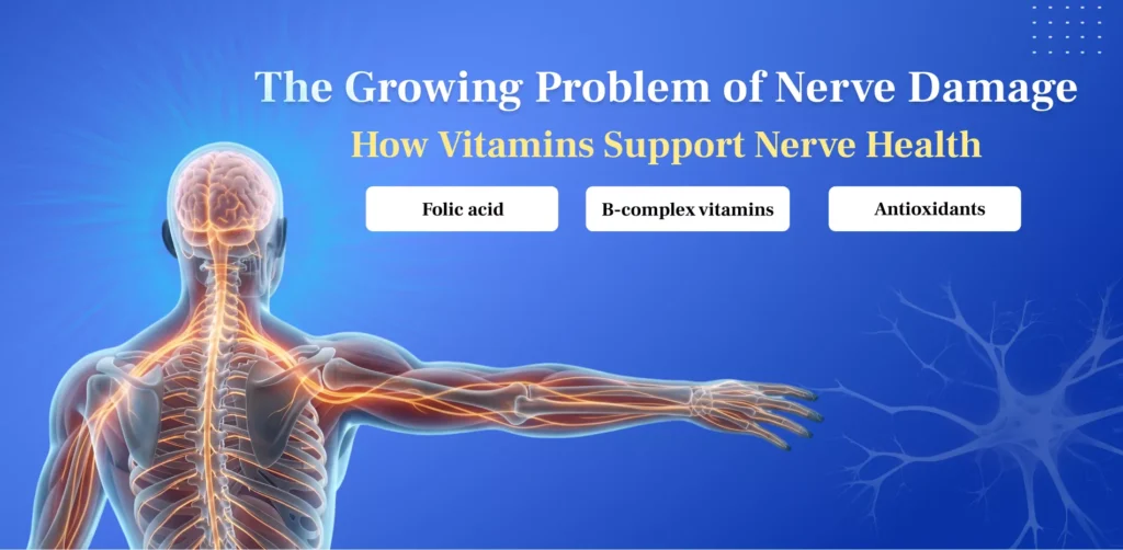 The Growing Problem of Nerve Damage: How Vitamins Support Nerve Health