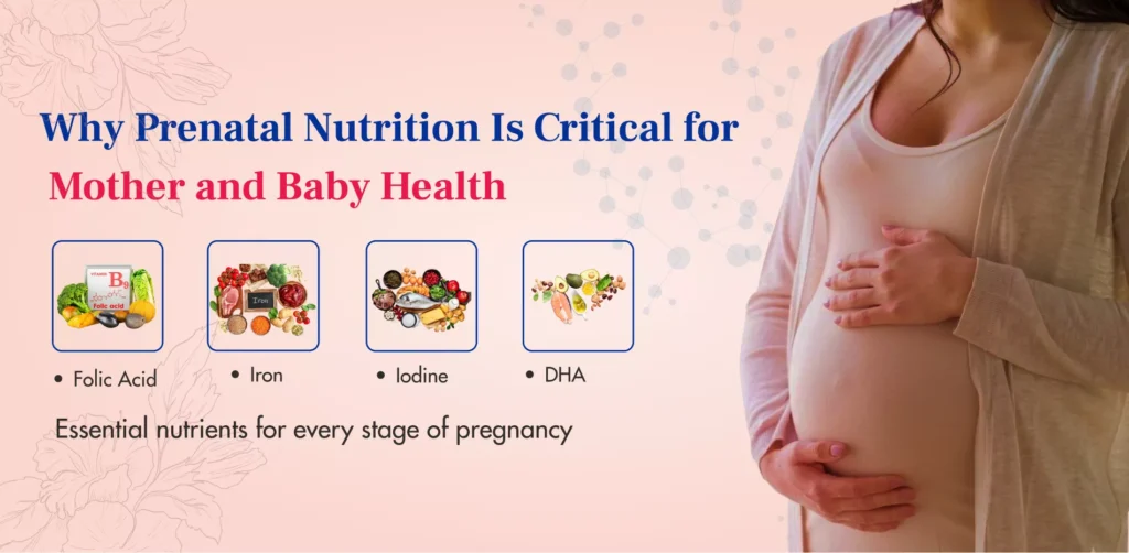 prenatal nutrition